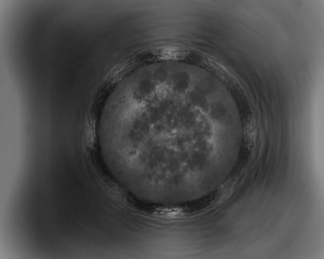 X0000097810554200803201419