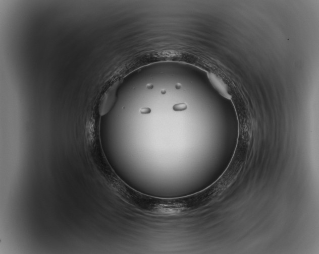 X0000097810556200803201420