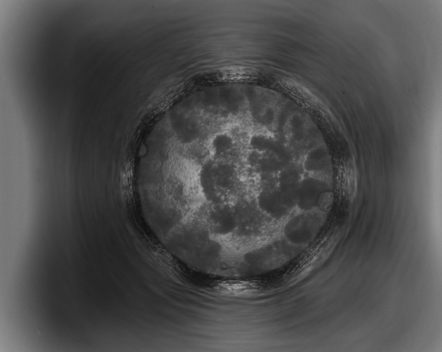 X0000097810557200803201420