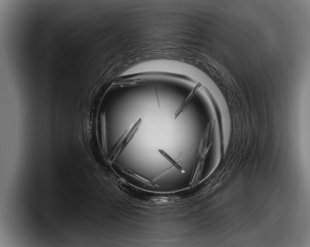 X0000097810558200803201420
