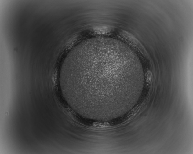 X0000097810559200803201420