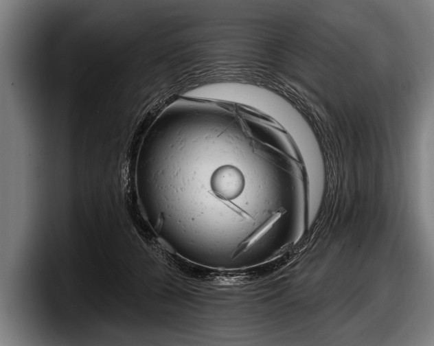 X0000097810560200803201420