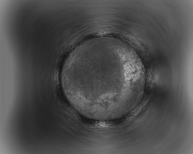 X0000097810565200803201420