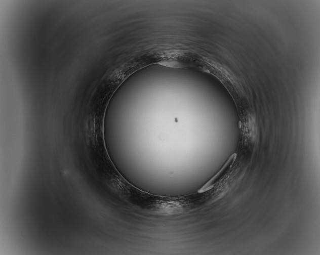 X0000097810572200803201420