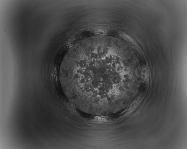 X0000097810573200803201420