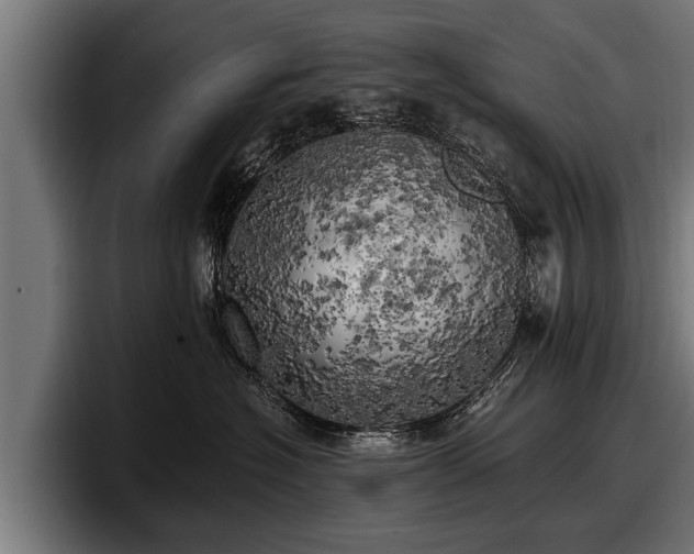 X0000097810574200803201420