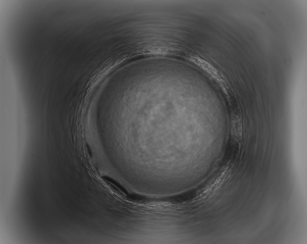 X0000097810577200803201419