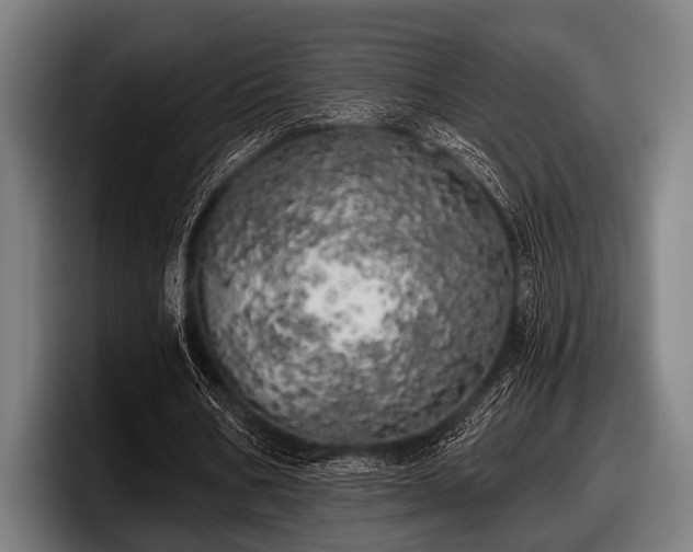 X0000097810578200803201419