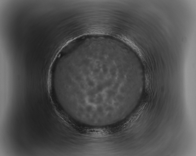 X0000097810580200803201419