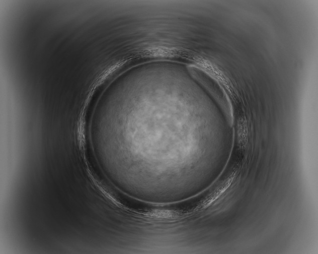 X0000097810581200803201419