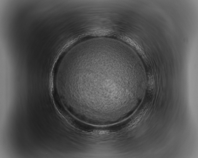 X0000097810582200803201419