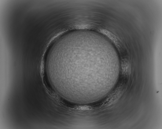 X0000097810583200803201419