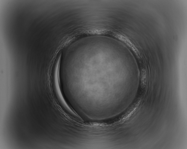 X0000097810585200803201419