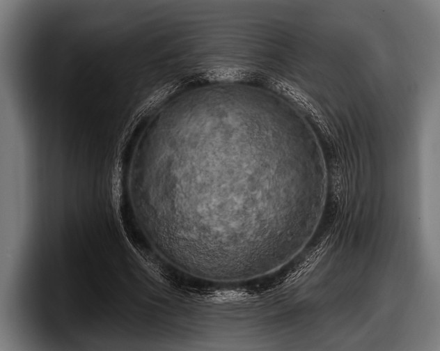 X0000097810586200803201419