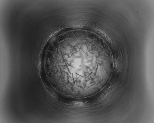 X0000097810588200803201419