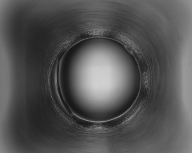 X0000097810589200803201419