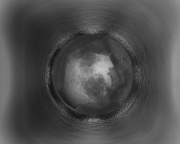 X0000097810590200803201419