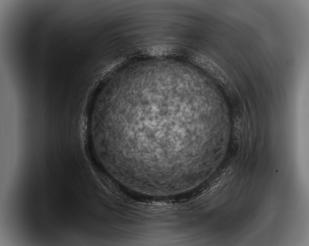 X0000097810592200803201419