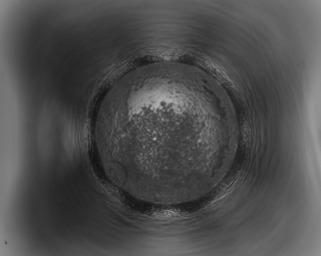 X0000097810594200803201419