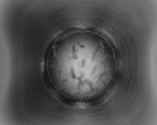 X0000097810596200803201419