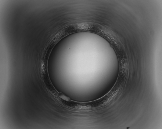 X0000097810597200803201419