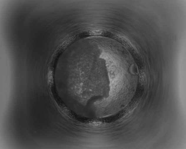 X0000097810598200803201419