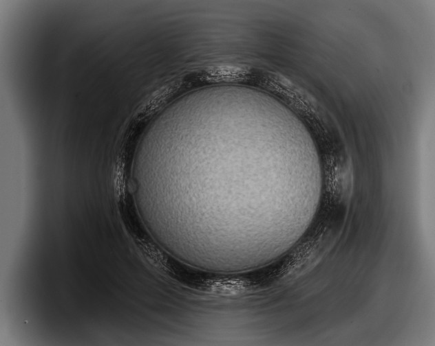 X0000097810599200803201419