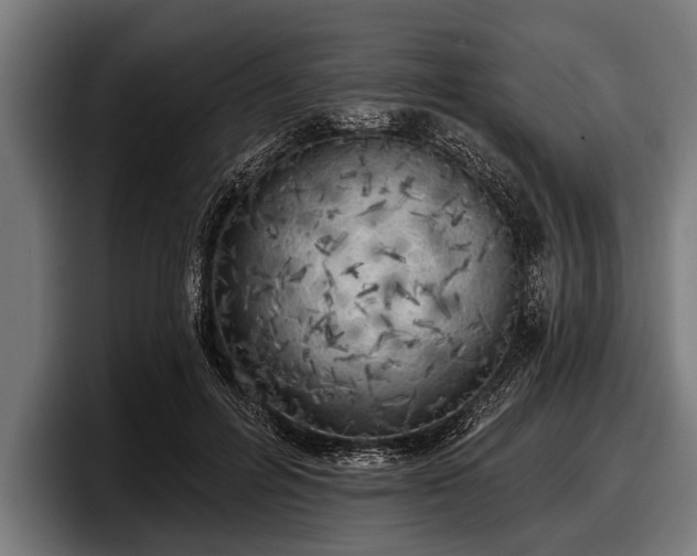 X0000097810600200803201419