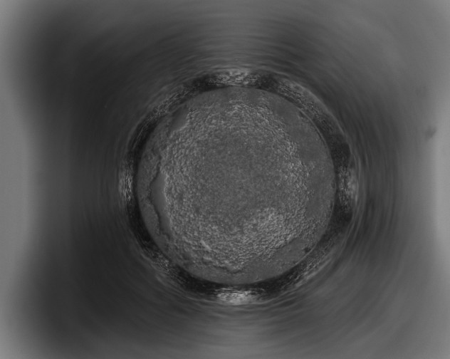 X0000097810602200803201419