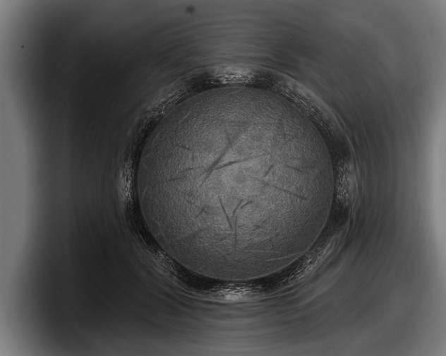 X0000097810604200803201419