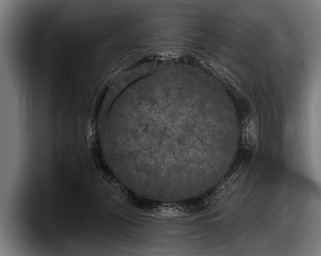 X0000097810608200803201419