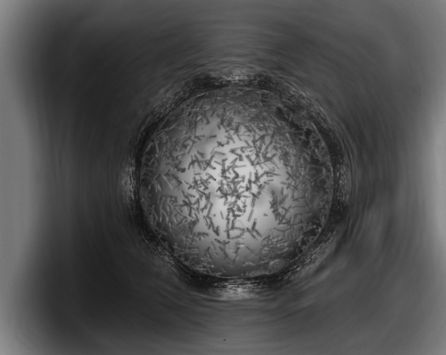 X0000097810612200803201419