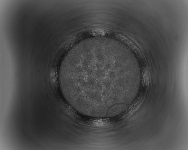 X0000097810616200803201419