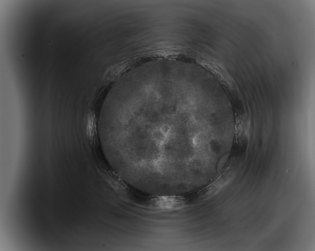 X0000097810623200803201419