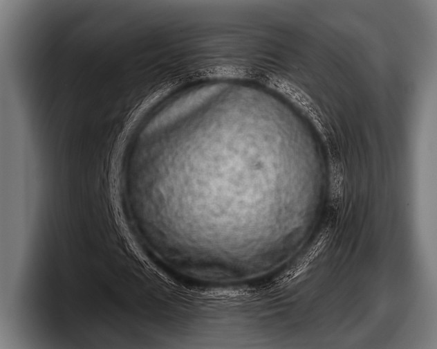 X0000097810625200803201418