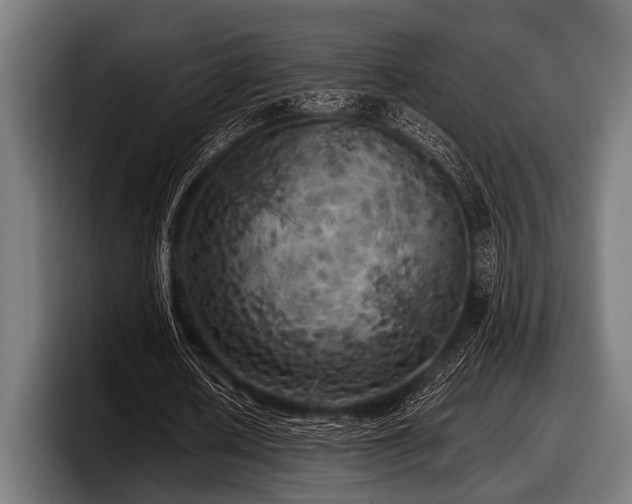 X0000097810626200803201418