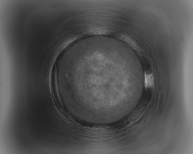 X0000097810627200803201418