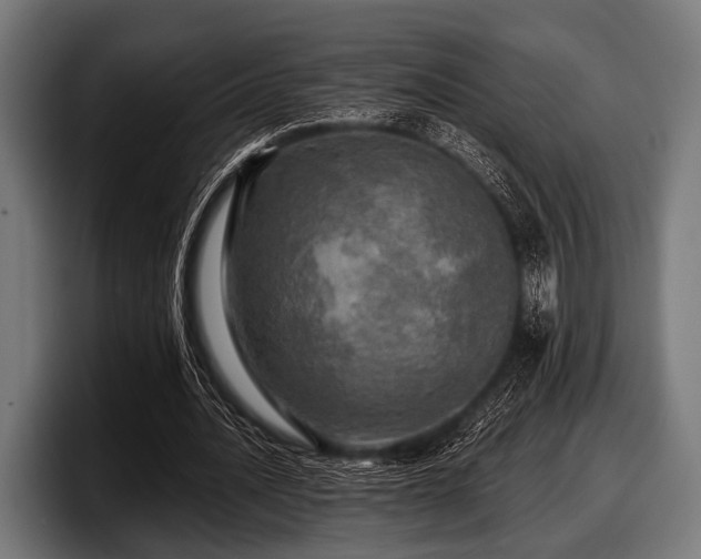 X0000097810628200803201418