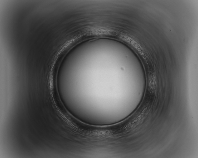 X0000097810629200803201418