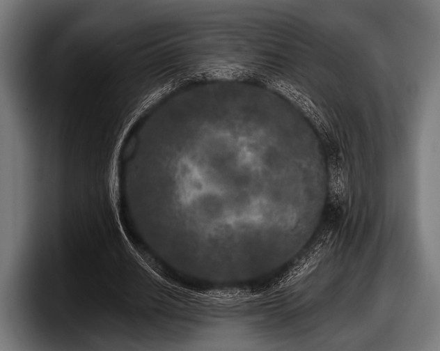 X0000097810630200803201418