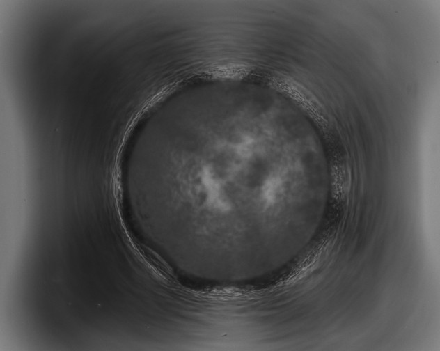 X0000097810634200803201418