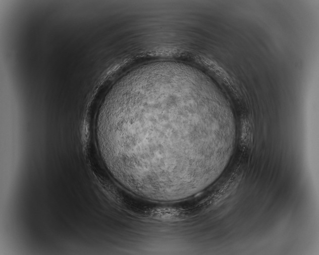 X0000097810636200803201418