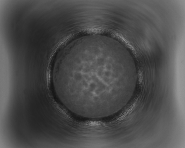 X0000097810637200803201418