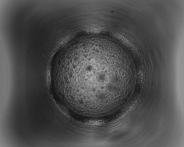 X0000097810638200803201418