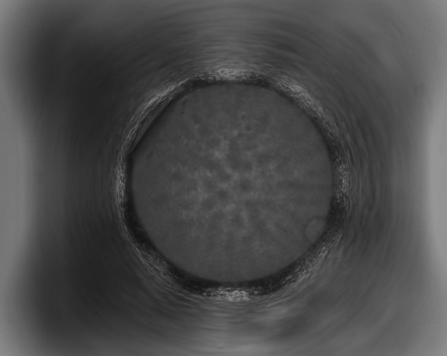 X0000097810640200803201418