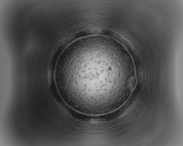 X0000097810641200803201418
