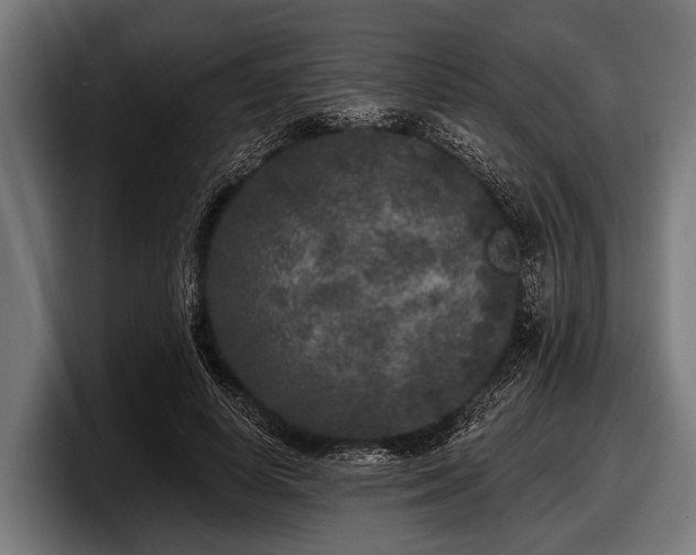 X0000097810642200803201418