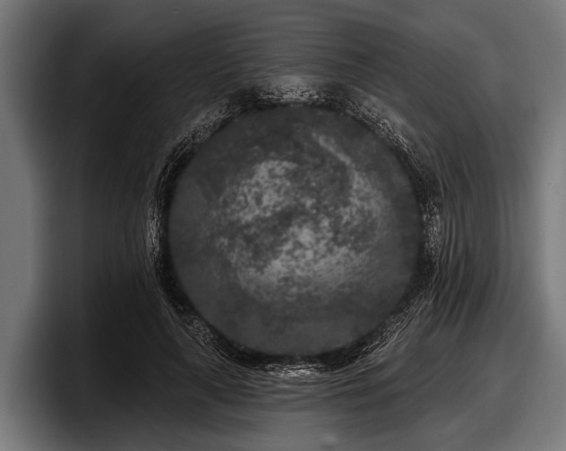 X0000097810643200803201418