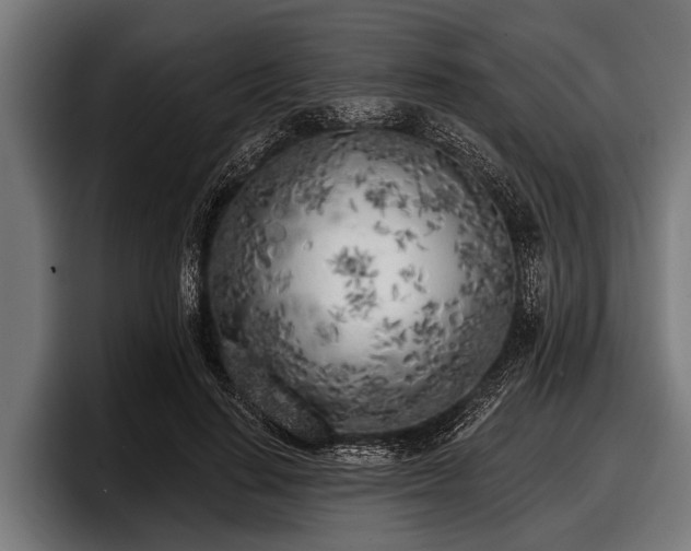 X0000097810644200803201418