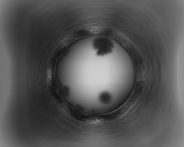 X0000097810646200803201418